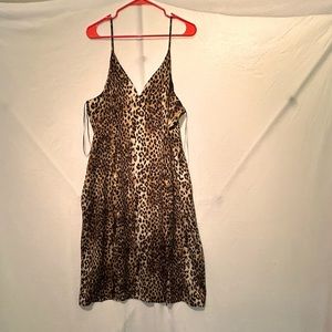 Cheetah dress from Express!